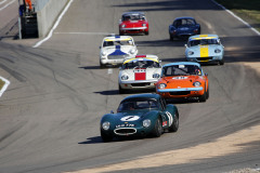 SSM Ring Knutstorp