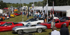 Falkenberg Classic - Final för RHK & SPVM.